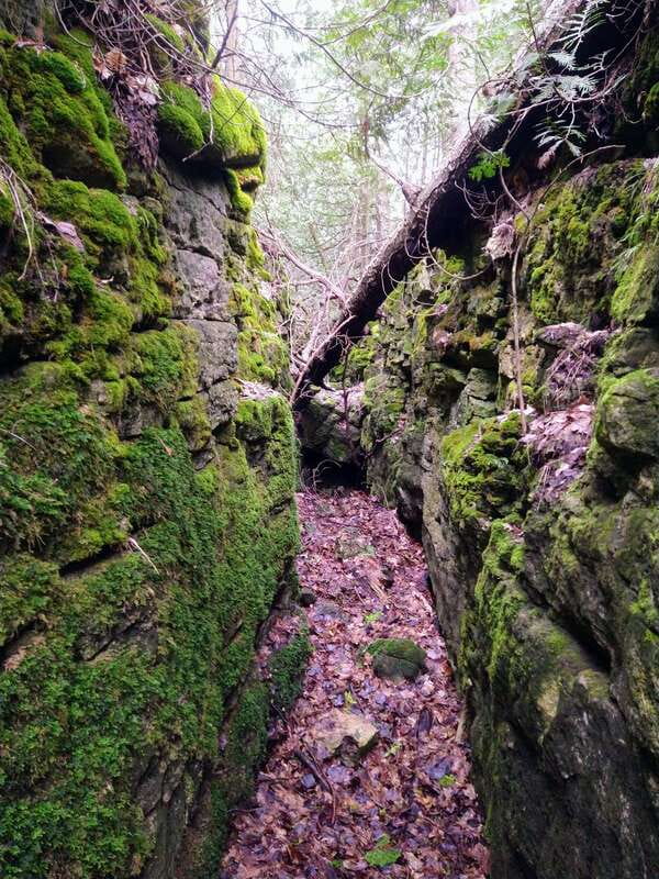 Private Metcalfe/Duncan Caves Hike-Collingwood/Blue Mountain - Traversing Mature Forests and Ancient White Cedars
