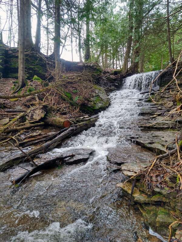 Private Metcalfe/Duncan Caves Hike-Collingwood/Blue Mountain - Who Will Appreciate This Hike the Most?