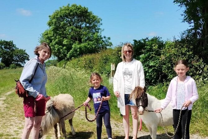 Private Miniature Horse Walking near Lincoln - Meet the Rare Falabella Miniature Horses Near Lincoln for an Intimate Experience