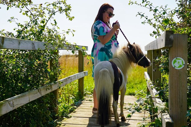 Private Miniature Horse Walking near Lincoln - Key Points