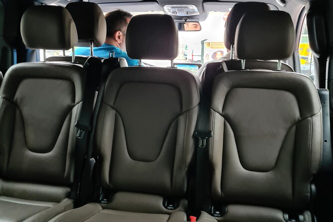 Private Minivan Transfer from Rotterdam - Who Will Enjoy This Service Most?