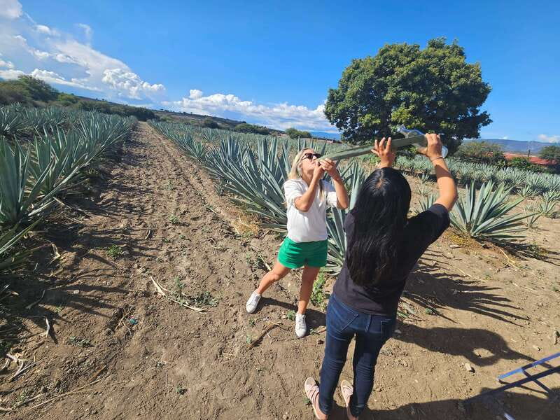 Private Mitla, Hierve el agua and Mezcal Tour with Lunch - Authentic Mezcal Tasting at a Family Distillery