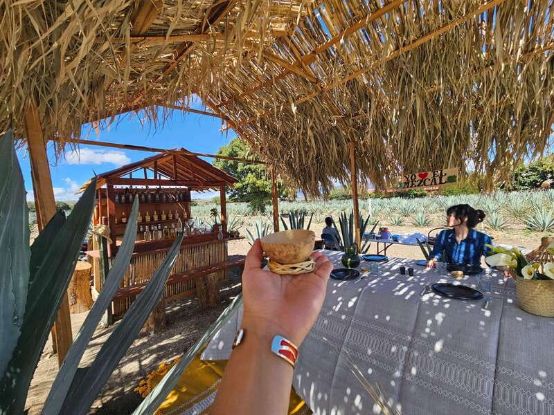 Private Mitla, Hierve el agua and Mezcal Tour with Lunch - Traditional Oaxacan Lunch in the Maguey Fields