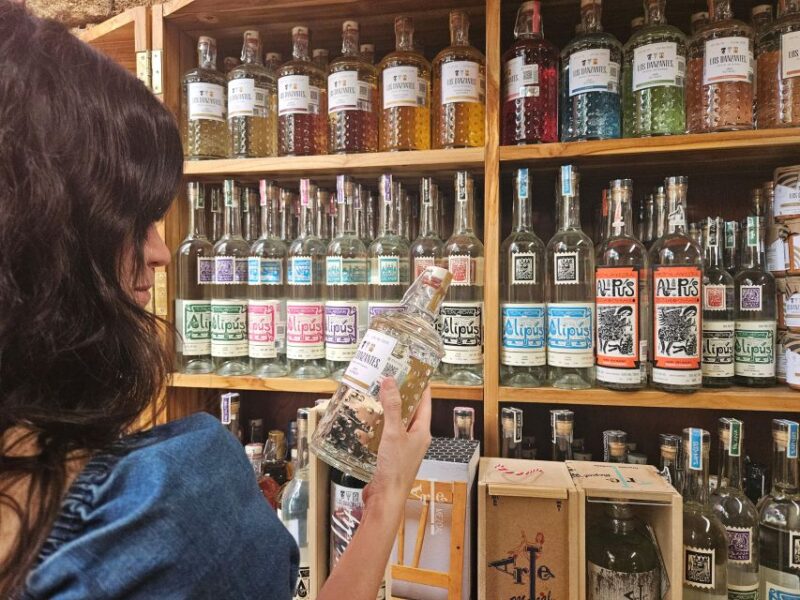 Private Mitla, Hierve el agua and Mezcal Tour with Lunch - Learning the Mezcal Production Process