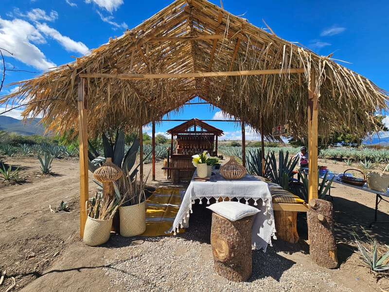 Private Mitla, Hierve el agua and Mezcal Tour with Lunch - How This Tour Differs from Similar Experiences