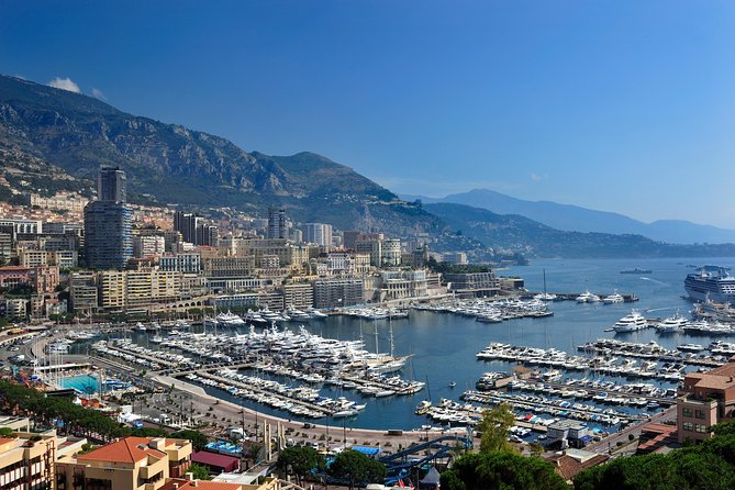 Private Monaco and Eze Half-Day Tour from Nice - Key Points