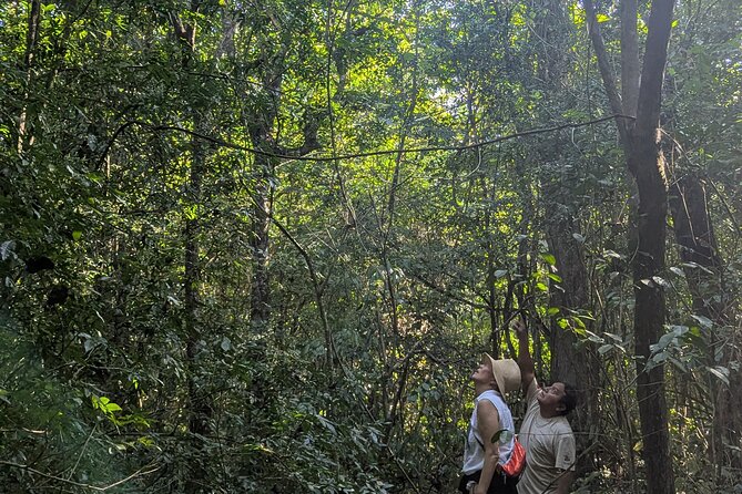 Private Monkey Sanctuary Trails with Zipline Canoe and Cenote - Discover the Private Monkey Sanctuary Trails with Zipline, Canoe, and Cenote in Tulum