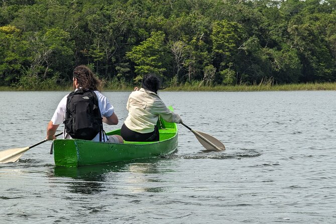 Private Monkey Sanctuary Trails with Zipline Canoe and Cenote - Practical Considerations and Recommendations