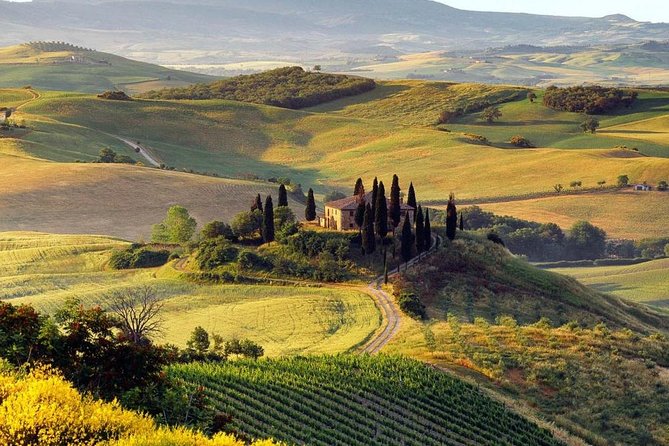 Private Montalcino and Pienza Tour from Siena - The Guide and Personal Touch