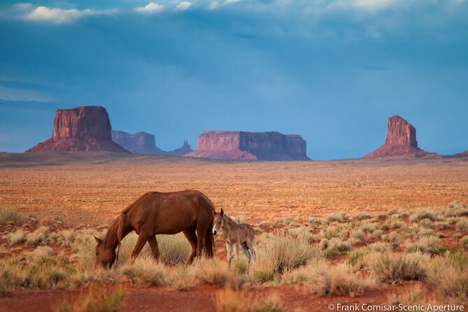 Private Monument Valley Tour - Discover the Private Monument Valley Tour: An Exclusive Journey for Cultural and Scenic Enthusiasts