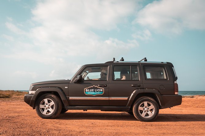 Private Morning Mykonos Safari Tour with Personal Driver - Key Points