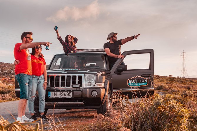 Private Morning Mykonos Safari Tour with Personal Driver - Review Highlights: Pointers for Future Participants