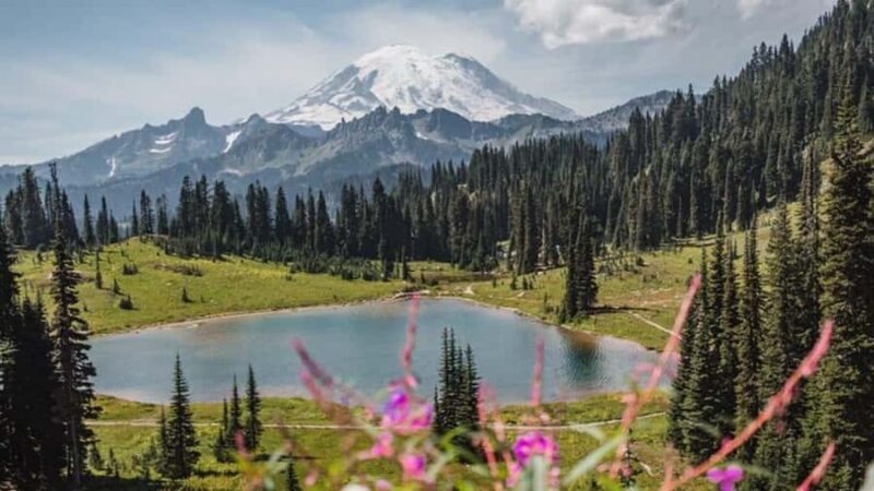 Private Mount Rainier tour from Portland - Discover Mount Rainier on a Private Day Trip from Portland for $525
