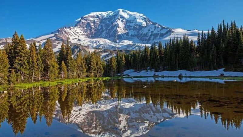 Private Mount Rainier tour from Portland - Key Points