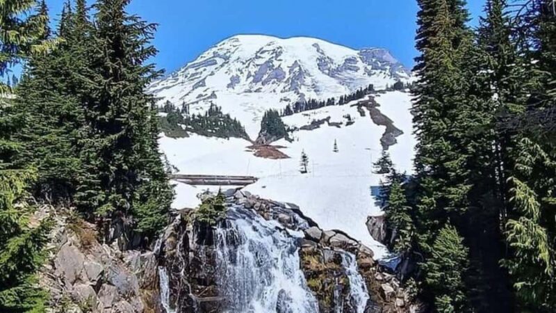 Private Mount Rainier tour from Portland - Exploring Mount Rainiers Natural Wonders