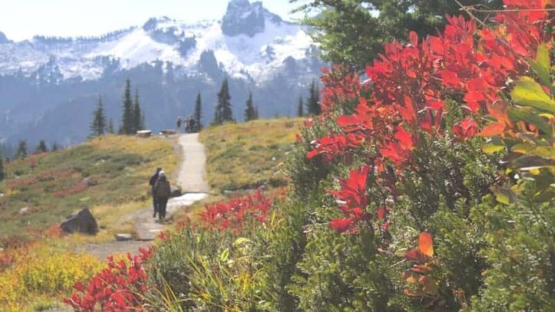 Private Mount Rainier tour from Portland - Comfortable and Well-Equipped Transportation