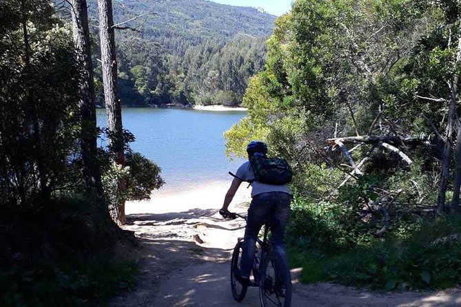 Private Mountain Biking Adventure in Sintra Cascais Park - Combining the Bike Tour with Cascais Exploration