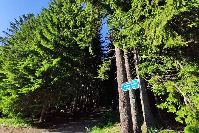 Private Mountain Biking in Vitosha from Sofia - Key Points