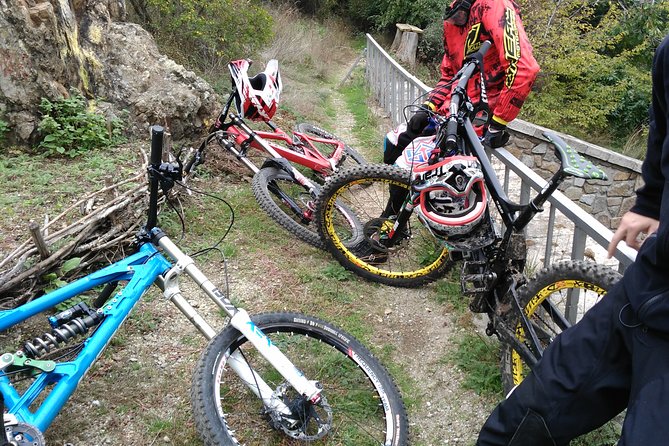 Private Mountain Biking in Vitosha from Sofia - A Taste of Bulgaria’s Natural Landscapes and Forests