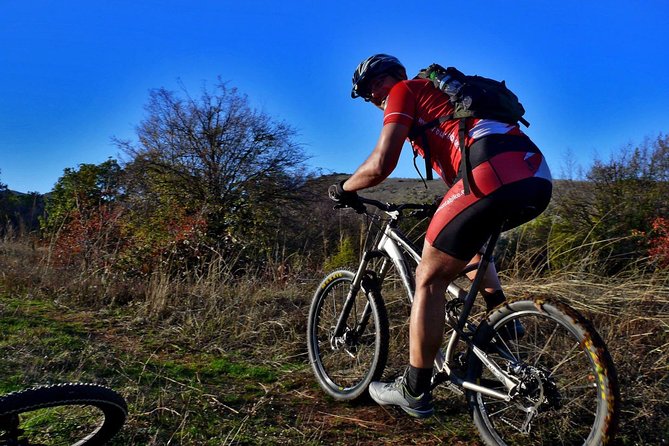 Private Mountain Biking in Vitosha from Sofia - Logistics and Group Flexibility