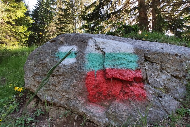 Private Mountain Biking in Vitosha from Sofia - Tour Duration and Pacing