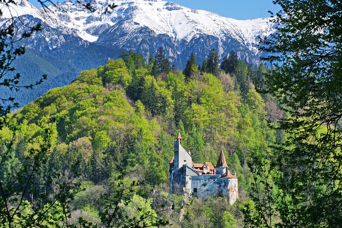 Private Movie Castles at Peles, Cantacuzino and Bran Castle Tour - Key Points
