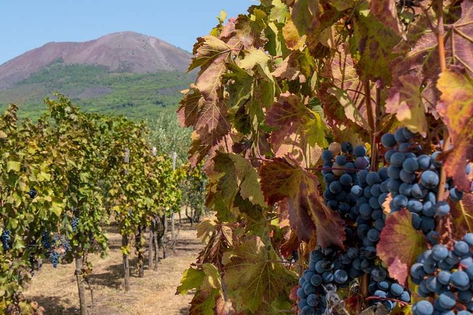 Private Mt Vesuvius and Pompeii with Lunch and Wine Farm Experience - Discover the Private Mt Vesuvius and Pompeii Tour with Wine Experience for an In-Depth Day
