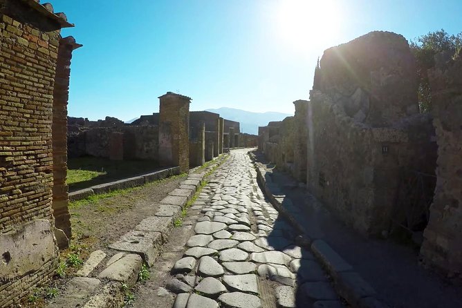 Private Mt Vesuvius and Pompeii with Lunch and Wine Farm Experience - Who Will Appreciate This Tour Most?