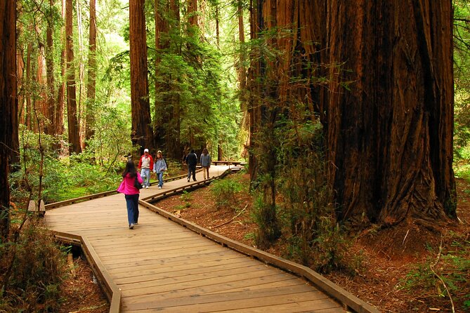 Private Muir Woods, Sausalito, and Marin Headlands Tour - Starting from San Francisco: From the City to the Golden Gate