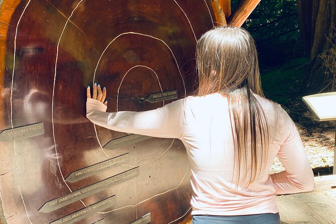 Private Muir Woods Tour Via Luxury Tesla - Practical Details: Logistics and Physical Requirements