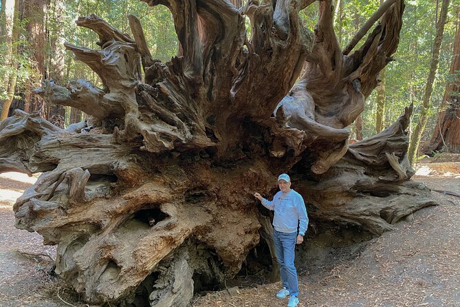 Private Muir Woods Tour Via Luxury Tesla - What Sets This Tour Apart from Others