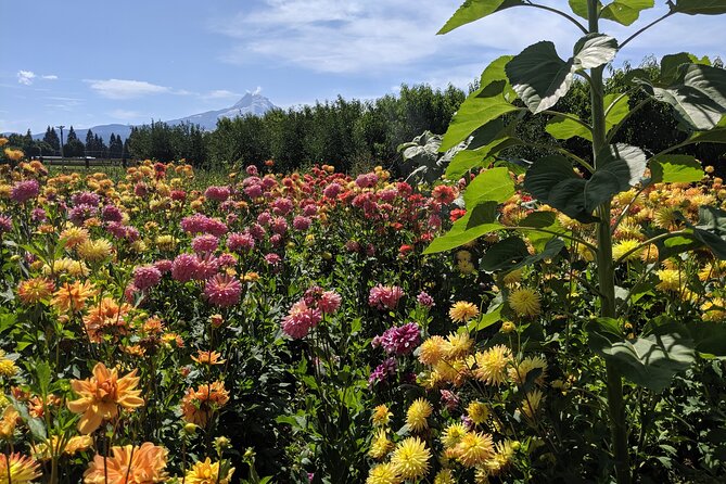 Private Multnomah Falls, Train Ride, & Wine Tour - Logistics: Comfortable Transport & Easy Access