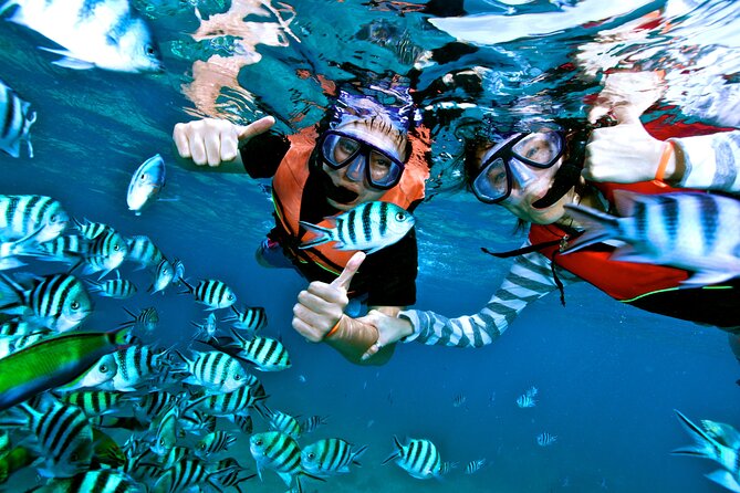 Private MUSA Snorkeling Experience at Isla Mujeres and Cancun - Meeting Point and Pickup Options