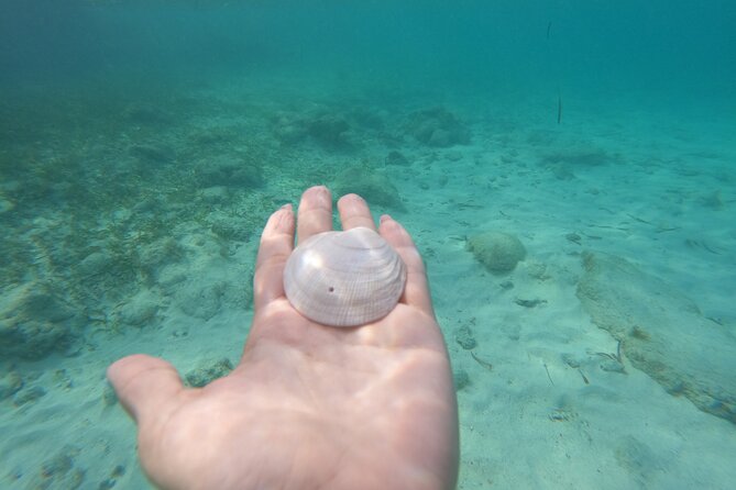 Private MUSA Snorkeling Experience at Isla Mujeres and Cancun - Flexible Cancellation and Weather Policy