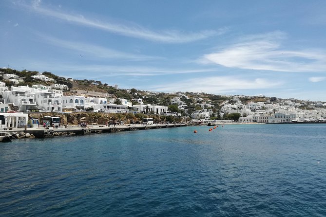 Private Mykonos island sightseeing tour. - Physical Requirements and Accessibility