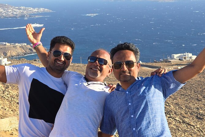 Private Mykonos Island tour by Luxury Minibus up to 11 passengers - The West Coast: Agios Stefanos and Cruise Ship Watching