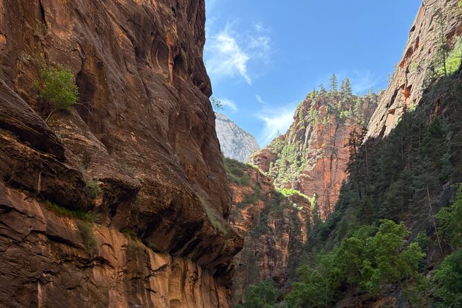 Private Narrows Slot Canyon Hike in Zion Canyon - Key Points