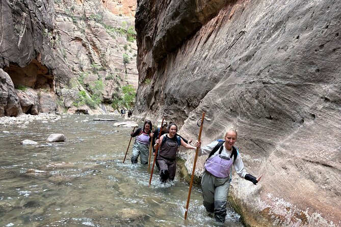 Private Narrows Slot Canyon Hike in Zion Canyon - Exploring Zion’s Geology and Natural Formations