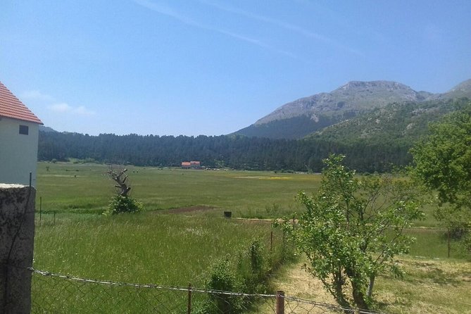 Private National Park Lovcen with food and wine tasting - Flexibility and Booking Details