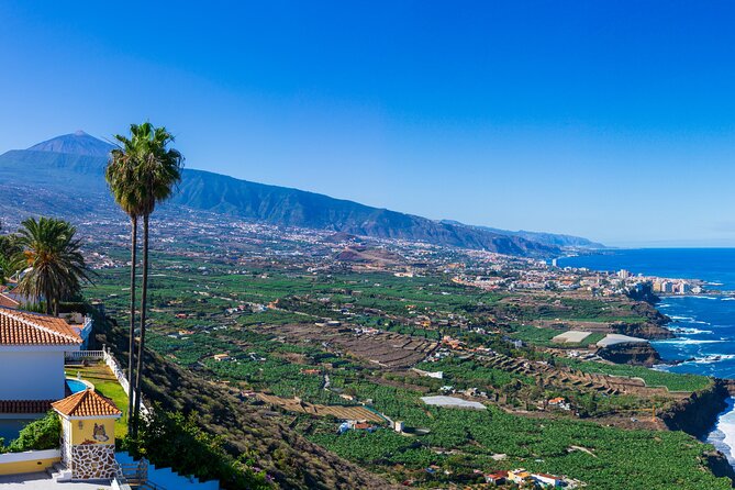 Private nature and culture tour of Teide and northern Tenerife - Visit Mirador de Chipeque for Breathtaking Views