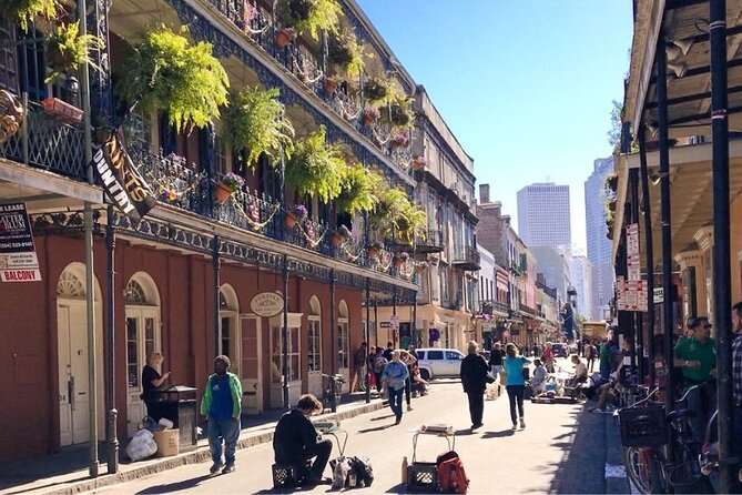 Private New Orleans City Tour - Guides with Extensive Local Knowledge