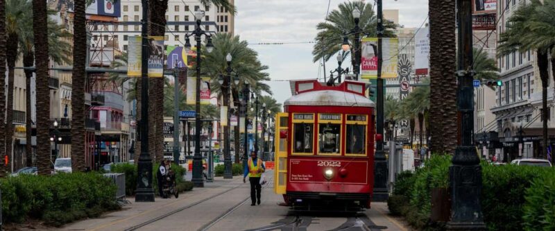 Private New Orleans Panoramic: With Drink and Souvenir - Key Points