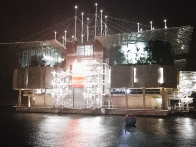 Private night tour, authentic Fado show & Portuguese dinner - Explore Lisbons Night Charm with a Private Fado Dinner Tour