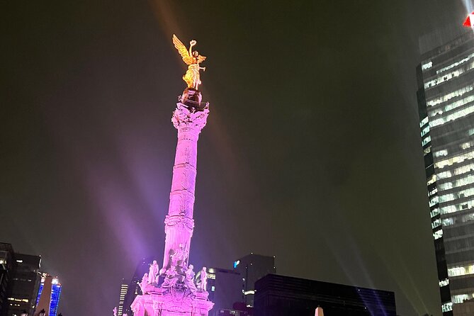 Private Night Tour of the Historic Center and Plaza Garibaldi - The Guide and Tour Experience