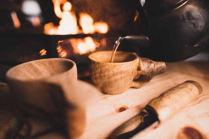 Private Northern Lights Hunting Expedition - Food, Drinks, and Warmth During the Tour