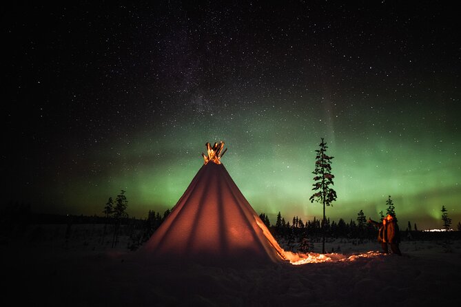 Private Northern Lights photography tour in Rovaniemi - Discover the Private Northern Lights Photography Tour in Rovaniemi