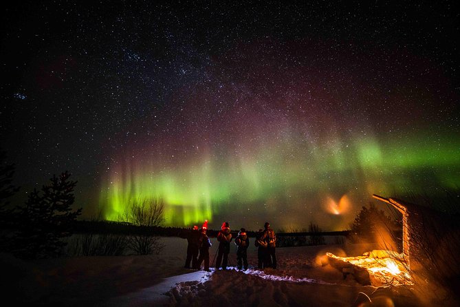 Private Northern Lights photography tour in Rovaniemi - How Guides Maximize Aurora Viewing Success