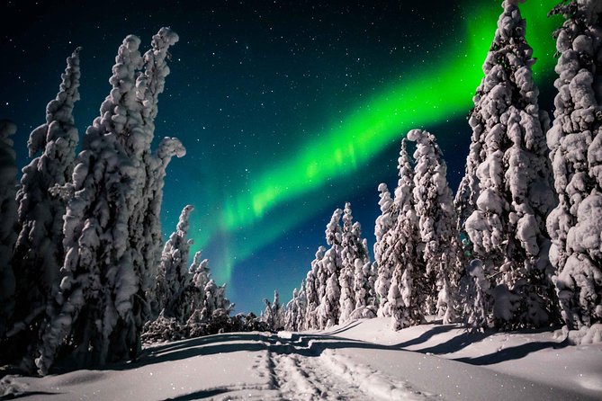 Private Northern Lights photography tour in Rovaniemi - Photography Tips and Support from Guides