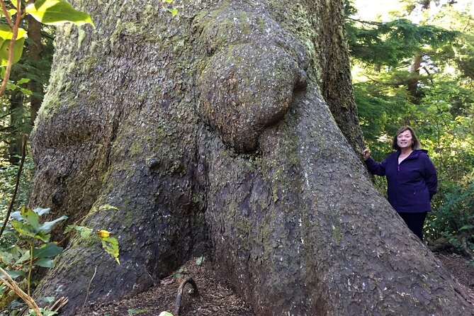 Private Northern Oregon Coast Day Trip - Discover the Mystical Hug Point State Park