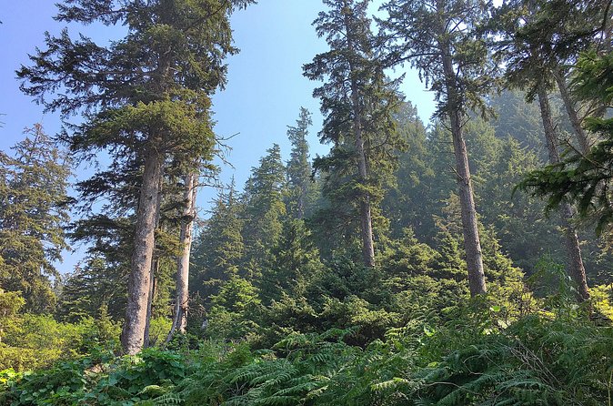 Private Northern Oregon Coast Tour - Value and Booking Details